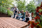 National Trust celebrates record year as 50,000 young people become members