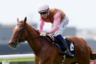 Thursday’s Racing Tips: Best bets and odds at Doncaster
