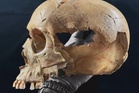 Ancient human fossils shed new light on early European cannibalism