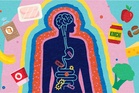 How to support your gut health: A simple 7-day reset and 4 easy recipes