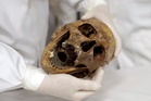 Switzerland publishes a 200-page dossier on Nazi war criminal Mengele nicknamed "Angel of Death"
