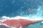 Over 100 people still missing as Indonesian rescuers battle choppy waters to board capsized passenger ship