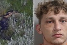 Drunk driving suspect drops his children in gator-infested swamp as he flees police