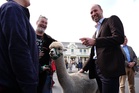 Prince of Wales strokes alpacas as he visits community hit by abandoned prison