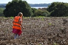 Police keep open mind on missing Noah, 3, but ‘nothing to indicate criminality’