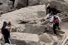National park blasts visitors after black bear feeding forces euthanasia: ‘Poor decisions’