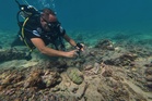Tyre’s ruins survived the strikes. Now divers are finding their way back underwater