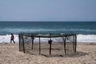 Agency says sea turtle eggs laid on California beaches are a first for the US West Coast