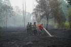 This year's El Nino-driven heat could cause nearly half a million more deaths, group says