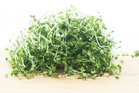 Salmonella outbreak tied to broccoli sprouts grows with more falling ill