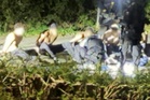 RAF Fairford: Terror police ‘investigate Iran link’ to suspected bomb plot near airbase