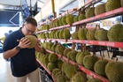 Malaysians' efforts to elevate durian industry, in photos