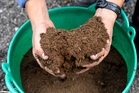 A horticulturist’s simple guide to successful composting