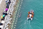 ‘Bukang-i’ the shark has become an unlikely tourist attraction – here’s why