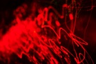 AI describes ‘wound that has no edges’ in disturbing torture experiment