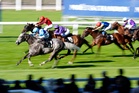 Friday’s horse racing tips: Best bets and odds for Ascot