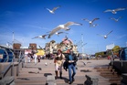The English cities that are Neet hotspots as expert issues fresh warning