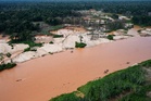Interpol crackdown on illegal mining, logging and wildlife trafficking leads to 233 arrests