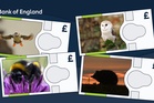 Bank of England reveals animals to feature on next banknotes