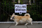 Holborn and St Pancras by-election live: Voting opens in big test for Burnham against Polanski in Starmer’s old seat