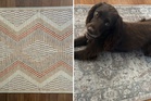 Ruggable vs Kukoon: Which washable rug is better?