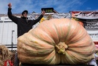Man drives 30 hours with car-sized pumpkin in bid to smash world record