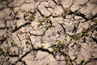 The six regions of England where severe drought has been declared