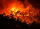 Forest fires significantly worsening across Africa’s tropical nations, data shows