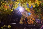 Fall’s brilliant colors paint the American landscape, in photos