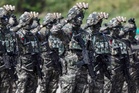 Army officer suspended after leaving his post 64 times to ‘feed lizard’