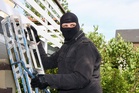 Eight expert tips on how to stop garden thieves this autumn