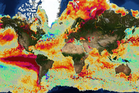 UN warns this year’s El Niño could be worst we’ve seen in 40 years. Will it affect UK weather?