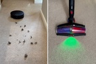 Best pet vacuum cleaners, tried and tested by a cat owner