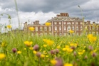 Wildlife bucks challenges with 5,000 species recorded at National Trust estate