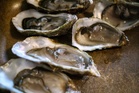 5 people in hospital amid US Salmonella outbreak linked to raw oysters