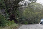 More than 50,000 homes in Scotland without power as Storm Boelo batters country