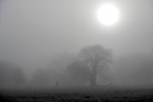 Met Office gives warning to drivers as ‘dense’ fog to settle over parts of the UK