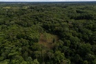 US lawmakers urge Trump administration to oppose Colombia's Amazon aerial spraying plans