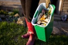 What to put in your compost bin – and five things to always leave out