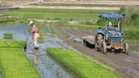 Vietnam Sets Registration for 900-Worker South Korea EPS Round
