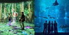 Plan Your Next Singapore Getaway Around These Must-Experience Moments