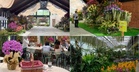 BUNGA 2026 Officially Blooms at Resorts World Awana with Asia’s Finest Orchid Showcase
