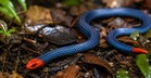 This Blue Snake Looks Like It Came From A Video Game But It’s Real