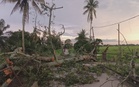 Heavy rain causes four fallen trees within an hour in Hilir Perak
