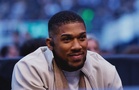 Anthony Joshua set for ring return against Prenga