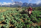 Malaysia boosts farm aid to counter global energy crisis