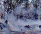 Miri and Kuala Baram battle weeks of wildfires as Sarawak cracks down on open burning