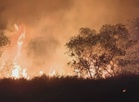 Northern Sarawak wildfires persist into third week as hotspots spread across 11 districts