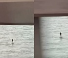 Daring or dangerous? Man spotted surfing under Penang Bridge goes viral