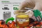 Malaysia eyes palm biodiesel for grid stability and fuel security